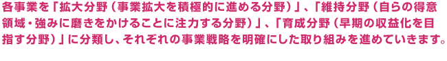 各事業を「拡大分野（事業拡大を積極的に進める分野）」、「維持分野（自らの得意領域・強みに磨きをかけることに注力する分野）」、「育成分野（早期の収益化を目指す分野）」に分類し、それぞれの事業戦略を明確にした取り組みを進めていきます。