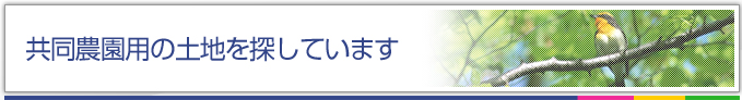 共同農園用の土地を探しています