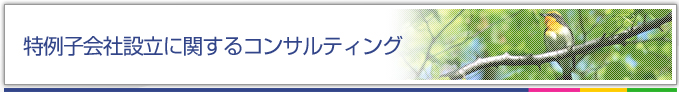 特例子会社設立に関するコンサルティング